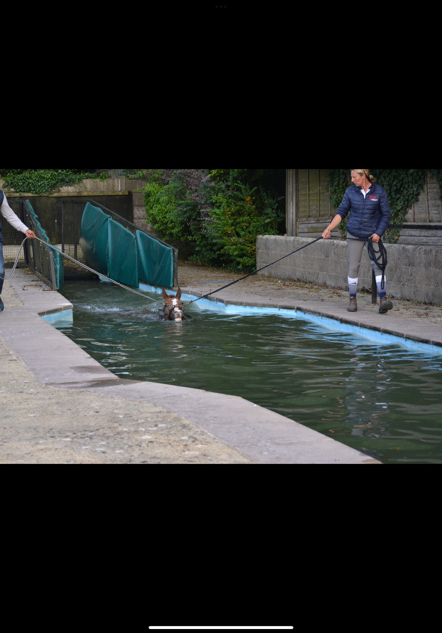 Straight equine swimming pool